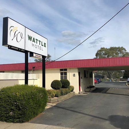 Wattle Motel Seymour Exteriör bild